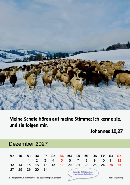 13.-Dezember.png