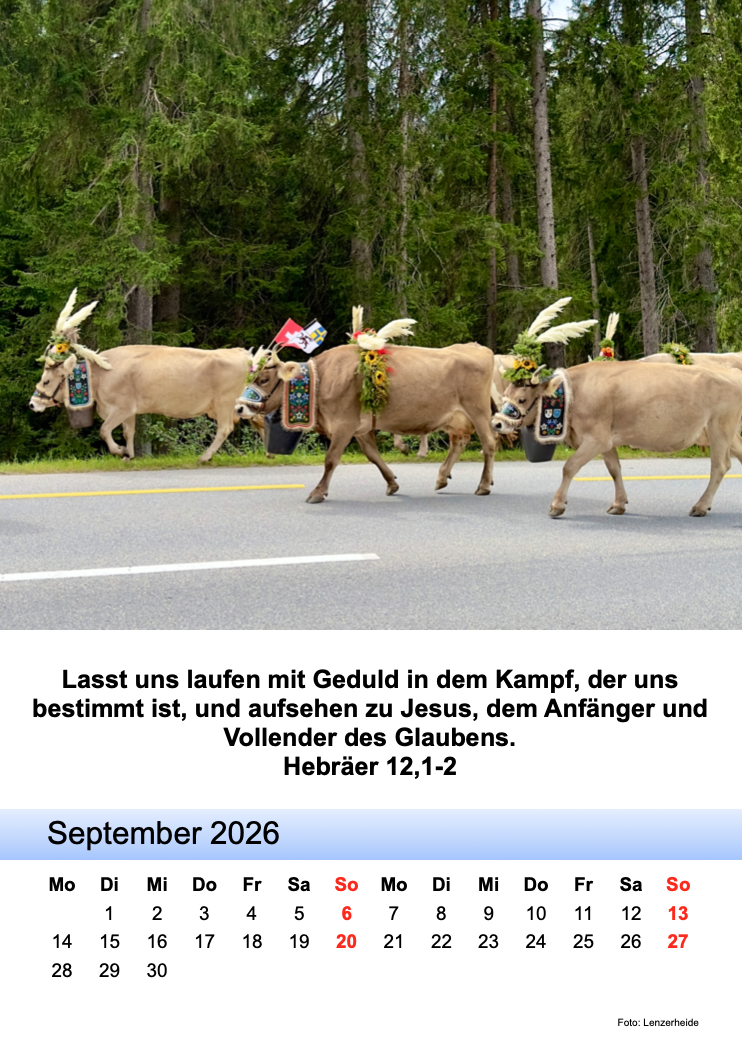 2026_9.png