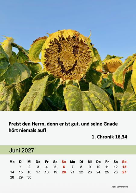 7.-Juni.png